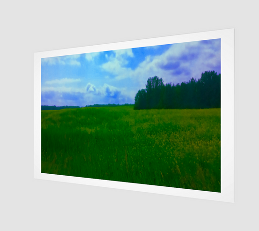 Grass Field Landscape Art Print