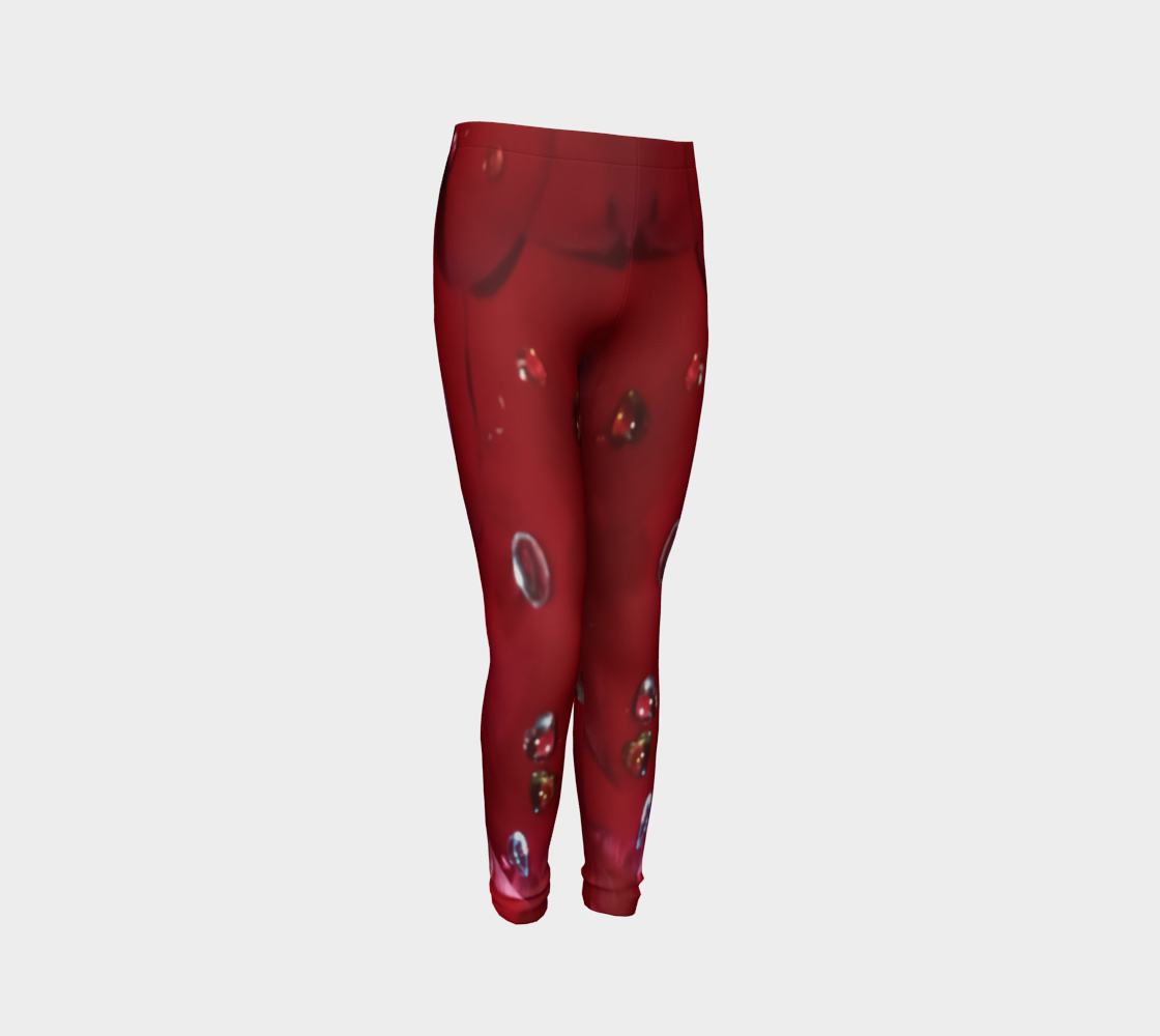 Jeweled Rose Youth Leggings