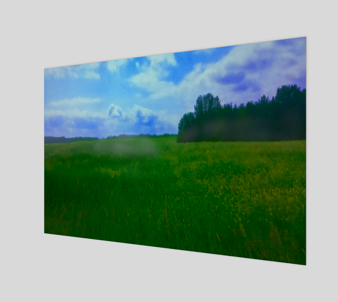 Grass Field Landscape Poster Print